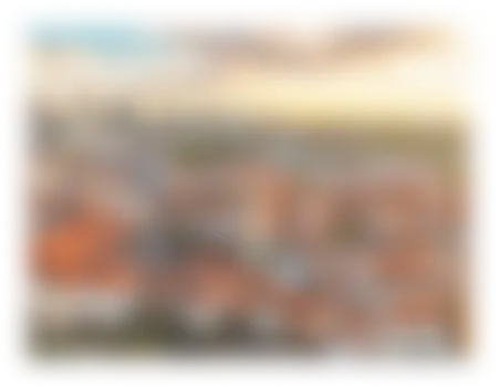 Cień Warszawy